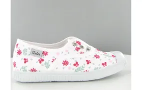 Aster derby miley blanc